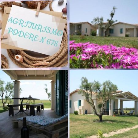 Agriturismo Podere 678 Γκροσέτο Εξωτερικό φωτογραφία