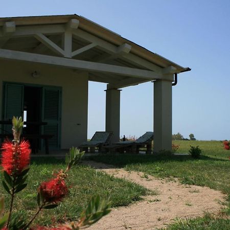 Agriturismo Podere 678 Γκροσέτο Εξωτερικό φωτογραφία