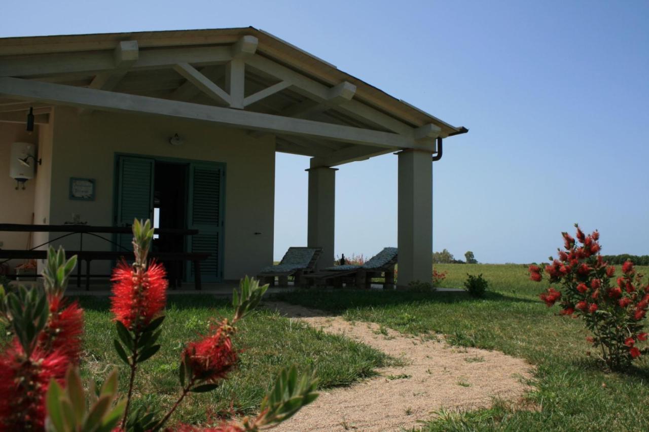 Agriturismo Podere 678 Γκροσέτο Εξωτερικό φωτογραφία
