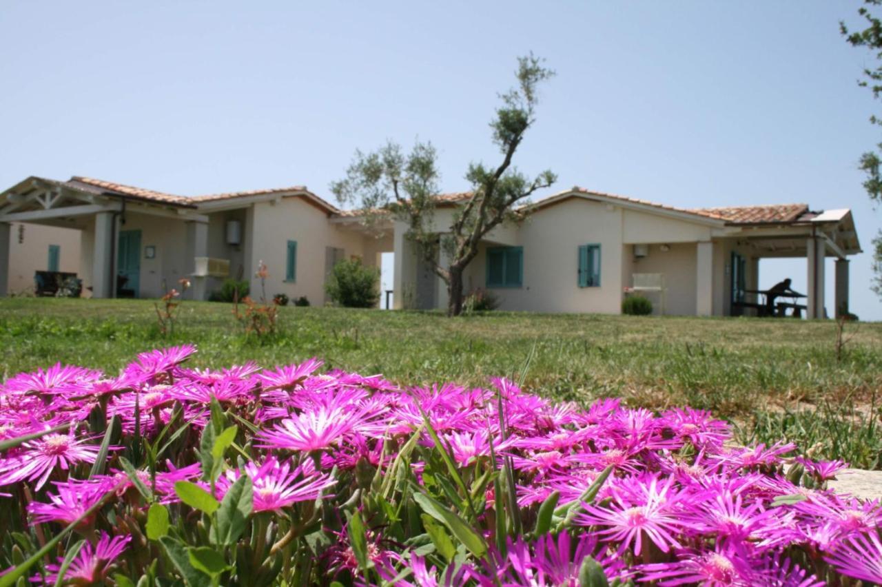 Agriturismo Podere 678 Γκροσέτο Εξωτερικό φωτογραφία